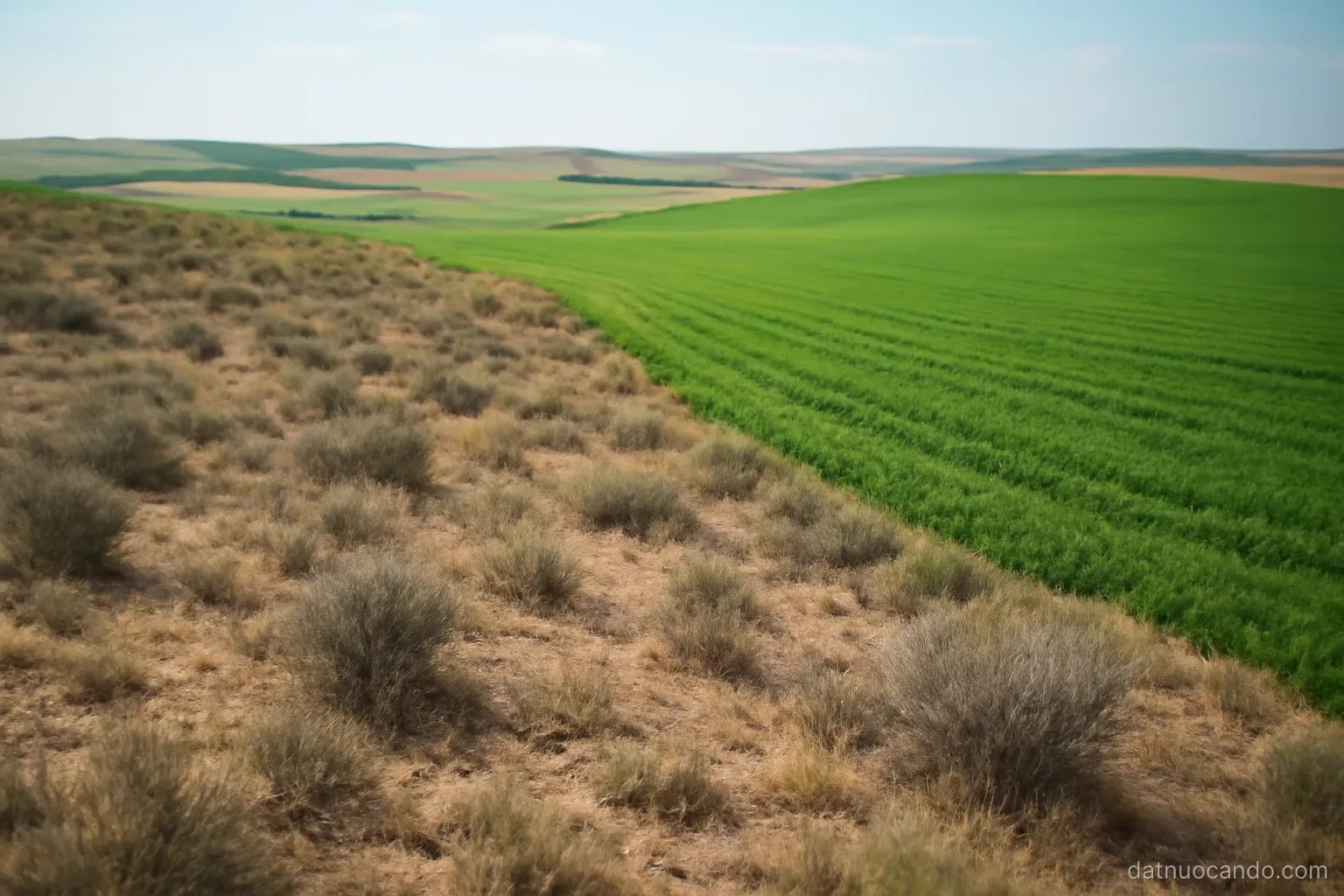 A gradual transition of landscape from dry scrub to green cultivated land, no visible line, shot from a low hill
